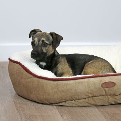 Memory Foam Pet Bed Taupe