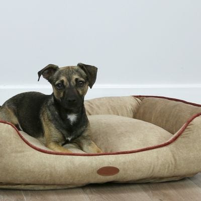 Pet Bed Taupe with Pink Trim